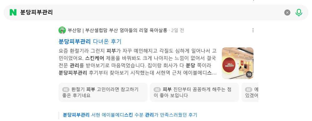 '분당피부관리' 검색 시 네이버 카페 영역 노출 화면