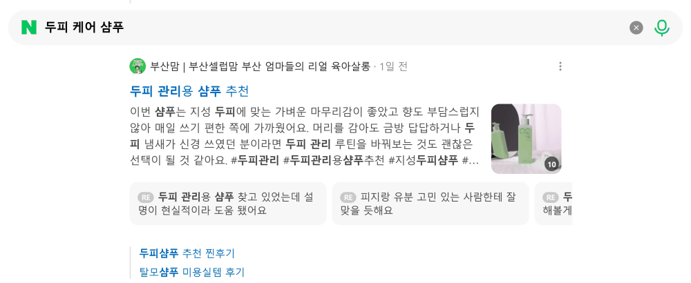 '두피 케어 샴푸' 검색 시 네이버 카페 영역 노출 화면