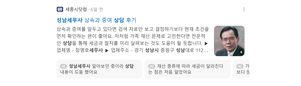 '성남세무사' 검색 시 네이버 카페 영역 노출 화면