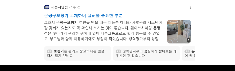 '은평구보청기' 검색 시 네이버 카페 영역 노출 화면