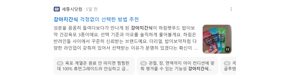 '강아지 간식' 검색 시 네이버 카페 영역 노출 화면 (반려동물)