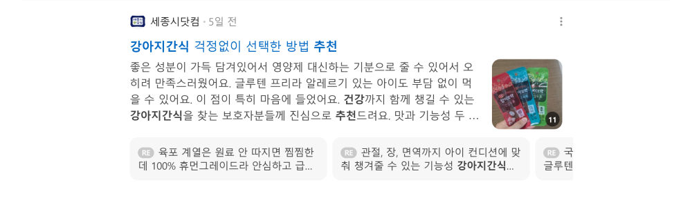'강아지 간식 추천' 검색 시 네이버 카페 영역 노출 화면