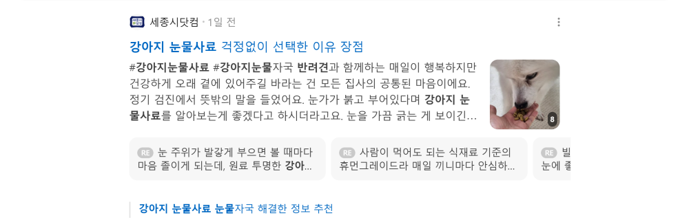 '강아지 눈물사료' 검색 시 네이버 카페 영역 노출 화면