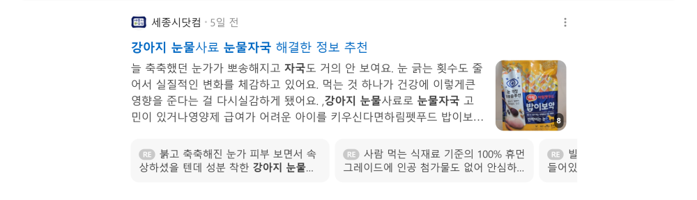 '강아지 눈물자국' 검색 시 네이버 카페 영역 노출 화면