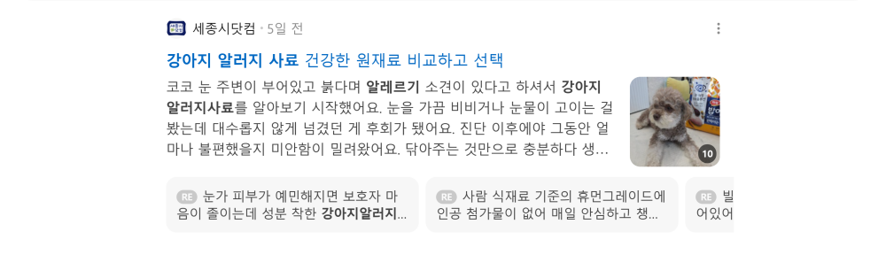 '강아지 알러지 사료' 검색 시 네이버 카페 영역 노출 화면