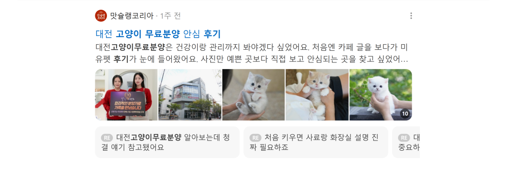 '고양이 무료분양 후기' 검색 시 네이버 카페 영역 노출 화면