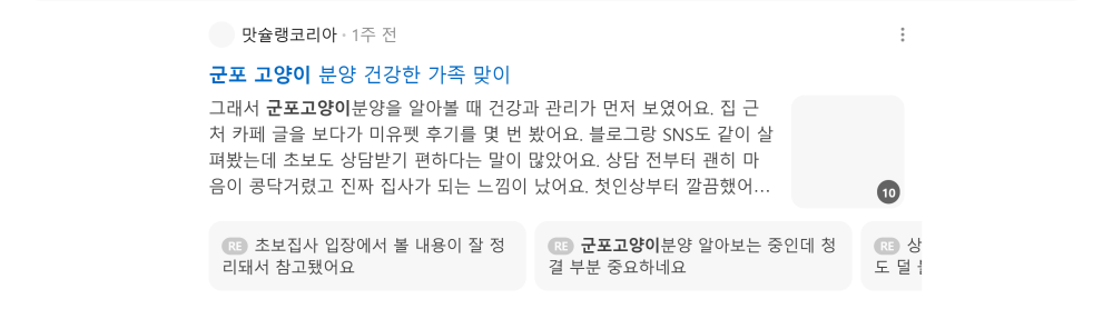 '군포 고양이' 검색 시 네이버 카페 영역 노출 화면