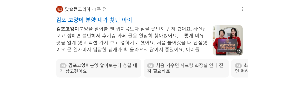'김포 고양이' 검색 시 네이버 카페 영역 노출 화면