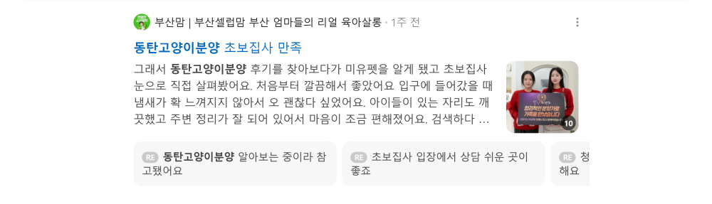 '동탄고양이분양' 검색 시 네이버 카페 영역 노출 화면