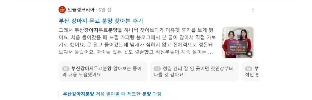 '부산 강아지 분양' 검색 시 네이버 카페 영역 노출 화면