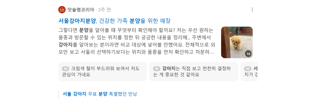 '서울 강아지 분양' 검색 시 네이버 카페 영역 노출 화면