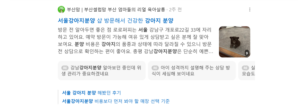'서울강아지분양' 검색 시 네이버 카페 영역 노출 화면