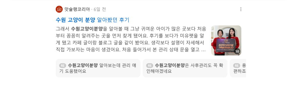 '수원 고양이 분양' 검색 시 네이버 카페 영역 노출 화면