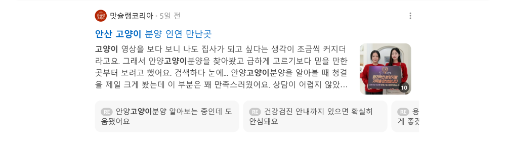 '안산 고양이' 검색 시 네이버 카페 영역 노출 화면