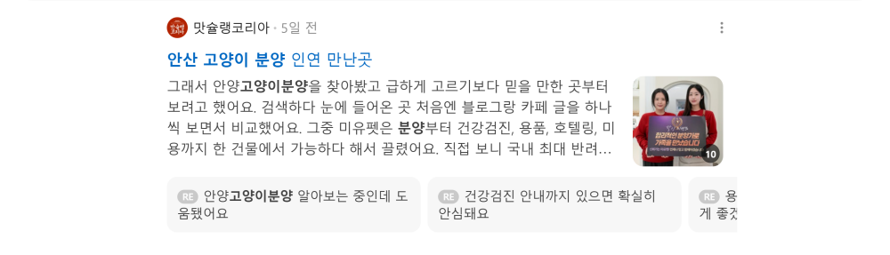 '안산 고양이 분양' 검색 시 네이버 카페 영역 노출 화면