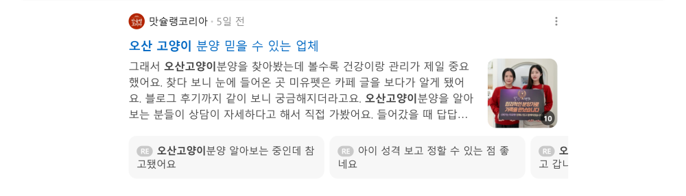 '오산 고양이' 검색 시 네이버 카페 영역 노출 화면