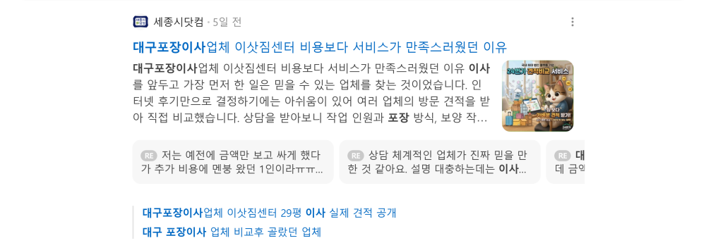 '대구 포장이사' 검색 시 네이버 카페 영역 노출 화면